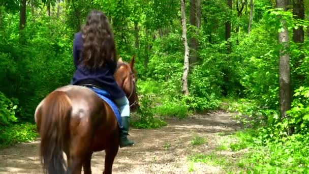 Mujer joven montando un caballo en el bosque de cerca — Vídeo de stock