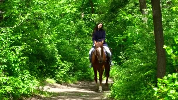 Ung brunett kvinna som rider en häst i skogen under sommaren — Stockvideo