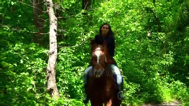 Jeune femme brune courant sur un cheval dans la forêt — Video