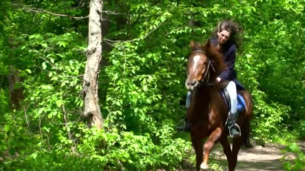 Молодая брюнетка бежит на лошади в лесу замедленной съемки — стоковое видео