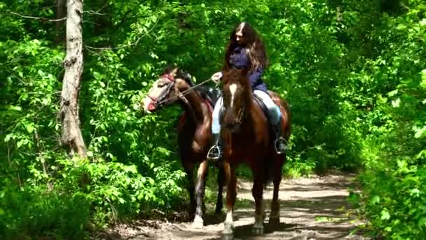 Mujer morena joven que viene del bosque con dos caballos durante el verano — Vídeos de Stock