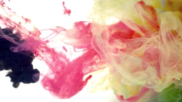 Ink of different colors pouring into water on white background texture — Stock Video