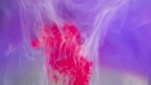 Ink of deep pink paint pouring into water on white background texture — Stock Video