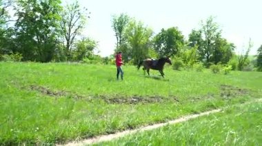 Kahverengi at üzerinde daire yaz aylarında çalışan
