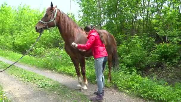 梳理这匹马在森林里的黑发女人 — 图库视频影像