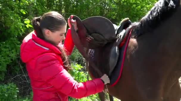 Young woman saddling up the brown horse closeup — Stock Video