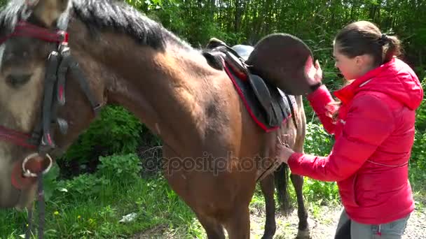 Mulher selando o cavalo marrom closeup — Vídeo de Stock