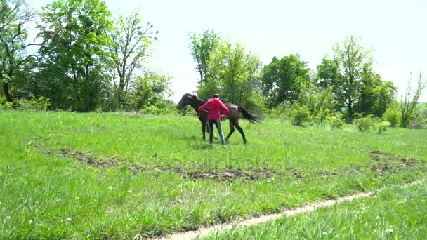 Course de chevaux en cercle pendant l'été — Video