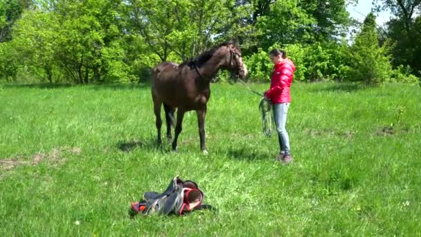 Caballo marrón comiendo en el prado cerca de la joven — Vídeos de Stock