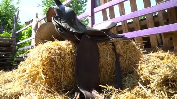 Primer plano de una silla de montar de cuero en el heno — Vídeo de stock