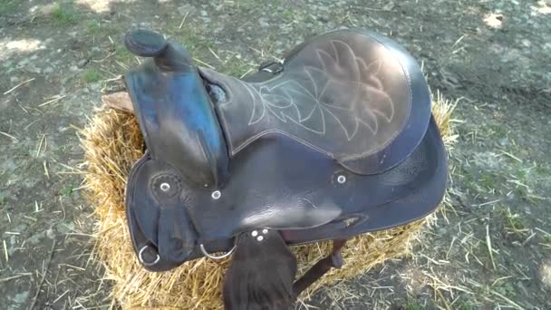 Closeup of a black leather saddle on the hay — Stock Video
