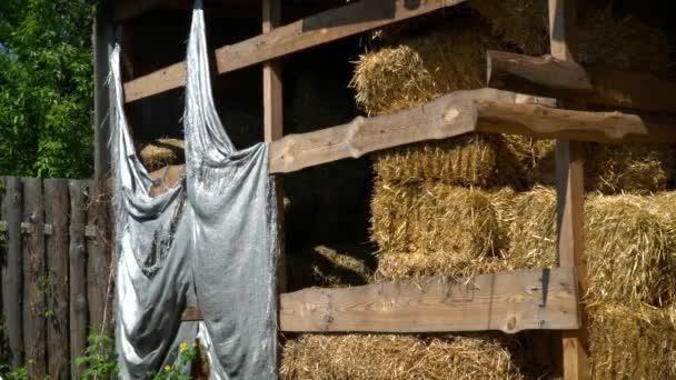 Сено на ферме под солнцем — стоковое видео