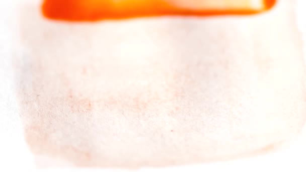Closeup πινέλο με μια πορτοκαλί ακουαρέλα αργή κίνηση — Αρχείο Βίντεο