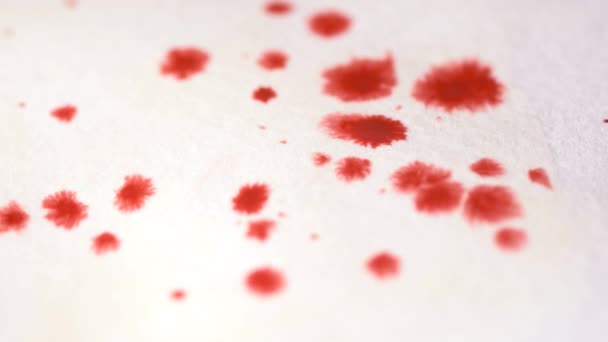Närbild av röda droppar akvarell på papper slow motion — Stockvideo