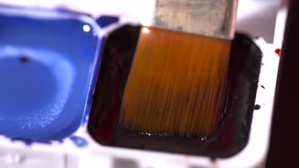 Cepillo tomando acuarela negra de la paleta de colores primer plano cámara lenta — Vídeos de Stock