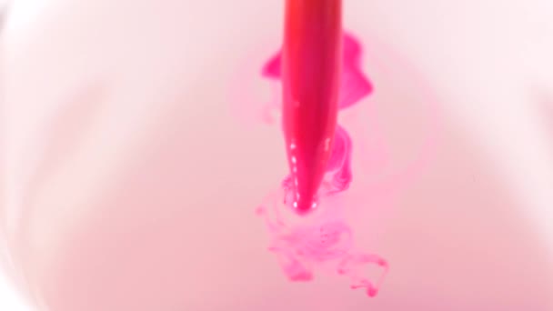 Colore rosa pouting in acqua da pennello primo piano rallentatore, macro — Video Stock