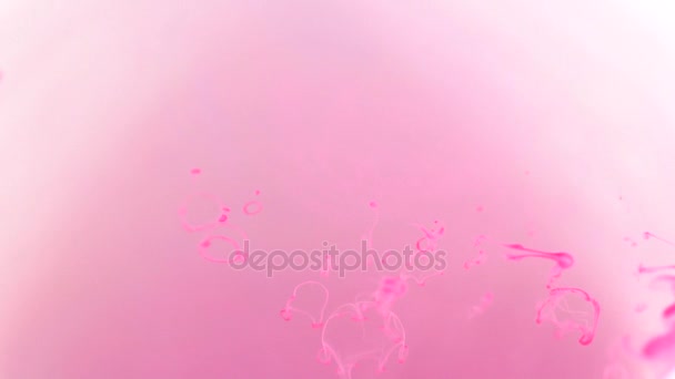 Pink aquarel steenbolk in het water close-up Slowmotion, macro — Stockvideo