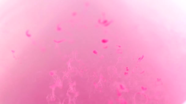 Розовый акварель дуется в воду крупным планом замедленной съемки , — стоковое видео