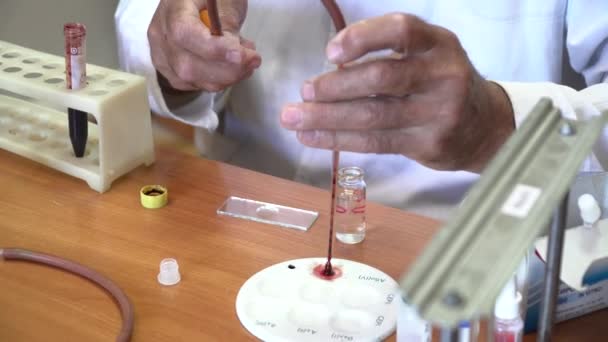 Крупный план профессора, работающего с кровью в лаборатории — стоковое видео