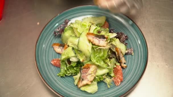 Clsoeup chutné rybí salát na talíři — Stock video