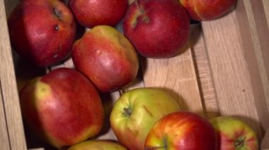 Ahşap kutusunda kırmızı elma closeup