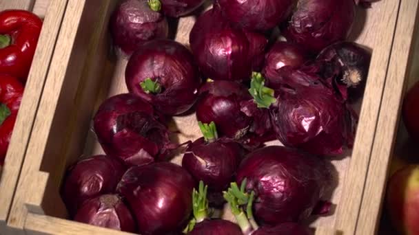 Closeup de muitas cebolas vermelhas na caixa de madeira — Vídeo de Stock