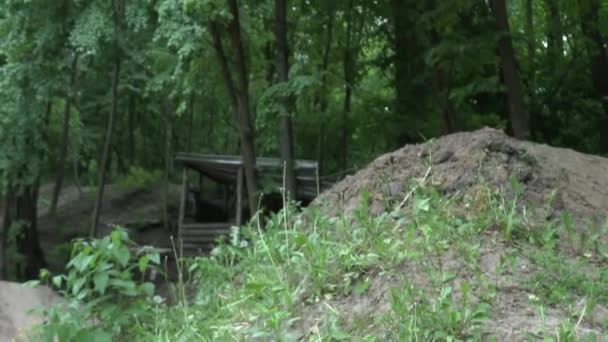 Jeune homme sautant sur le vélo moderne dans la forêt au ralenti 