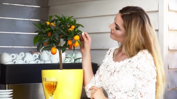 Mooie jongedame fruitboom in het restaurant op de balk aanraken — Stockvideo