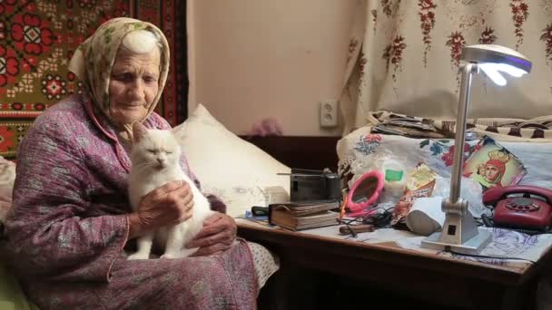 Una anciana con gato . — Vídeos de Stock