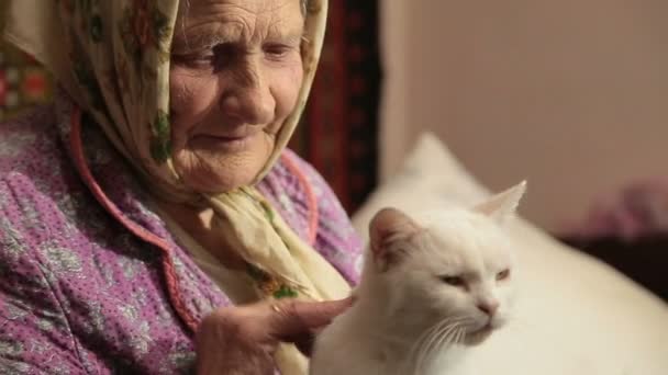 Літня жінка погладжує кота — стокове відео