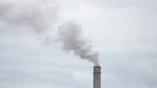 Emissioni di fumo dalla pipa di fabbrica — Video Stock