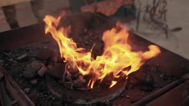 Beautiful red tongues of fire flame burn wood sticks in braizer. — Stock Video