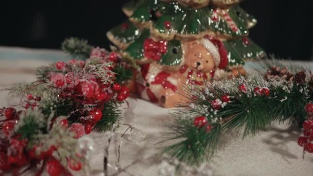 Closeup of traditional New Years decorations, holly tree branches, snow. — Stockvideo