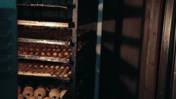 Diferentes tipos de pastelería se están moviendo dentro del horno de panadería caliente . — Vídeo de stock