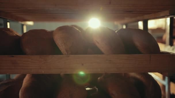 Verplaatsen van planken met broden bruin brood onder andere rekken in het licht. — Stockvideo