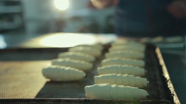 Female confectioner puts back one uncooked croissant from oven-tray. — Stock Video