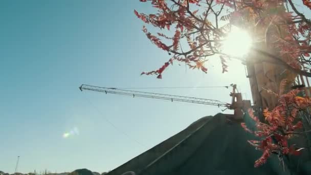 Skönheten i byggarbetsplatsen är mycket anmärkningsvärt eftersom det röda lövträdet finns där — Stockvideo