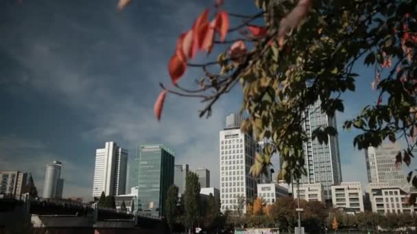 Panoráma a modern metropolisz magas házak és üzleti központok. — Stock videók