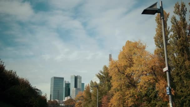 Panorama metropolii z drapaczami chmur rzeki i Parku. Niemcy, Frankfurt. — Wideo stockowe