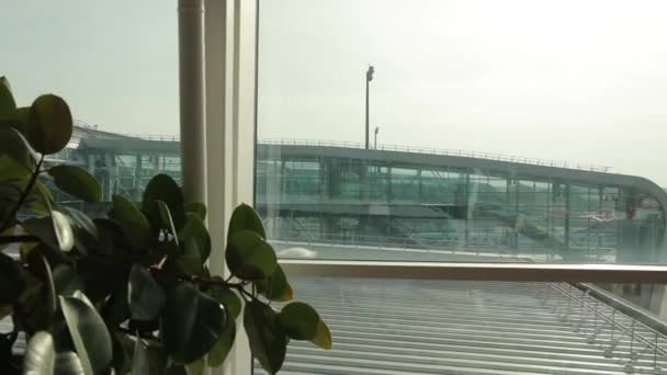 Vista desde ventana de cristal del terminal con planta verde en pista, autobús, avión . — Vídeo de stock