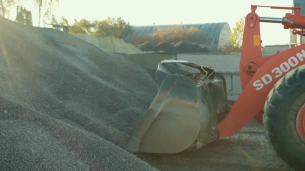 Durante el día, el tractor está trabajando recogiendo el producto de la superficie . — Vídeo de stock