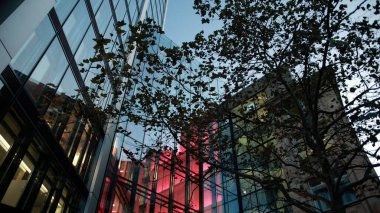 Frankfurt 'un gece hayatı harika görünüyor..
