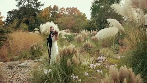 Joven pareja de novias abrazan en hermoso jardín de plantas tiernas esponjosas . — Vídeo de stock