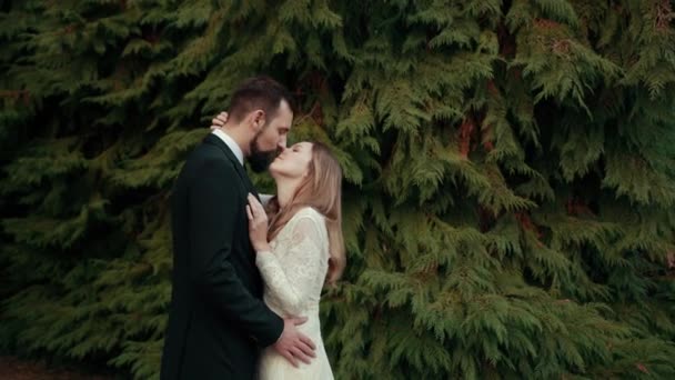 Ζευγάρι στην αγάπη νύφη γαμπρός στο νυφικό κοστούμι αγκαλιά, μυρίζει ο ένας τον άλλον και να φιλήσει. — Αρχείο Βίντεο