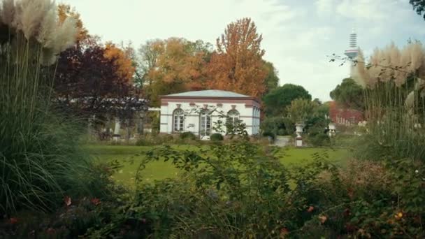 Vista en Jardín Botánico. Árboles tropicales decorativos plantas a su alrededor banco de descanso — Vídeos de Stock