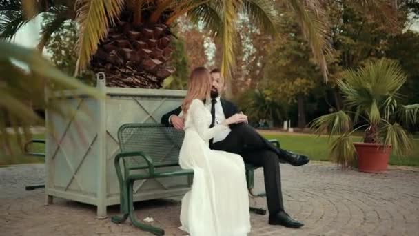 Casal jovem de recém-casados apaixonados estão sentados no banco sob grande palmeira — Vídeo de Stock