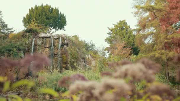 Nádherný výhled na botanickou zahradu, kde vodopád teče — Stock video