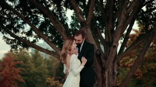 Et ungt par forelsket nygifte nær et stort høyt tre . – stockvideo