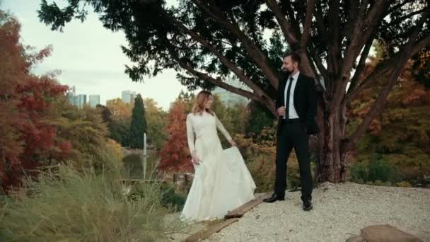 Young couple in love newlyweds near large high tree. — Stock Video