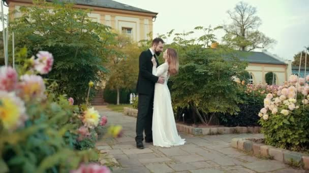 Young couple of newlyweds in love embrace. Groom kisses bride — Stock Video